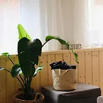 Klinkerstube 公寓